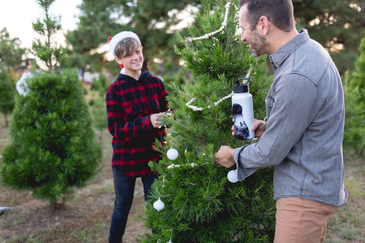 Man and young boy decorating an outdoor evergreen Christmas tree at a tree farm or lot, man wearing gray denim shirt